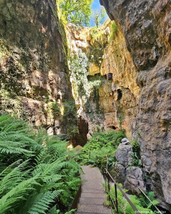 Sentier aménagé dans les Phosphatières du Cloup d’Aural, entre parois rocheuses et fougères