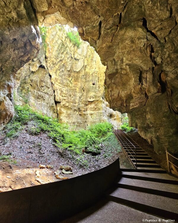 Escaliers et parois calcaires dans les Phosphatières du Cloup d’Aural, site géologique du Lot