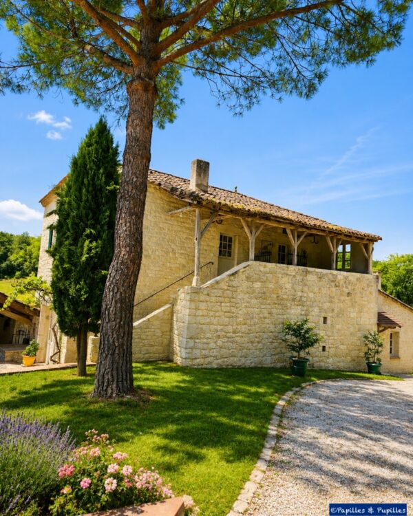 Bâtiment en pierre du Domaine de Saint-Géry avec grand pin et jardin fleuri