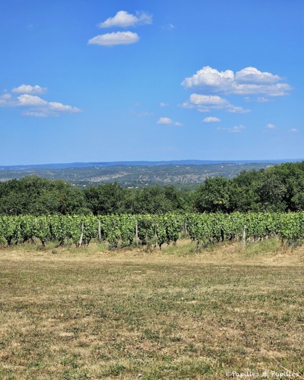 Vignes Cahors
