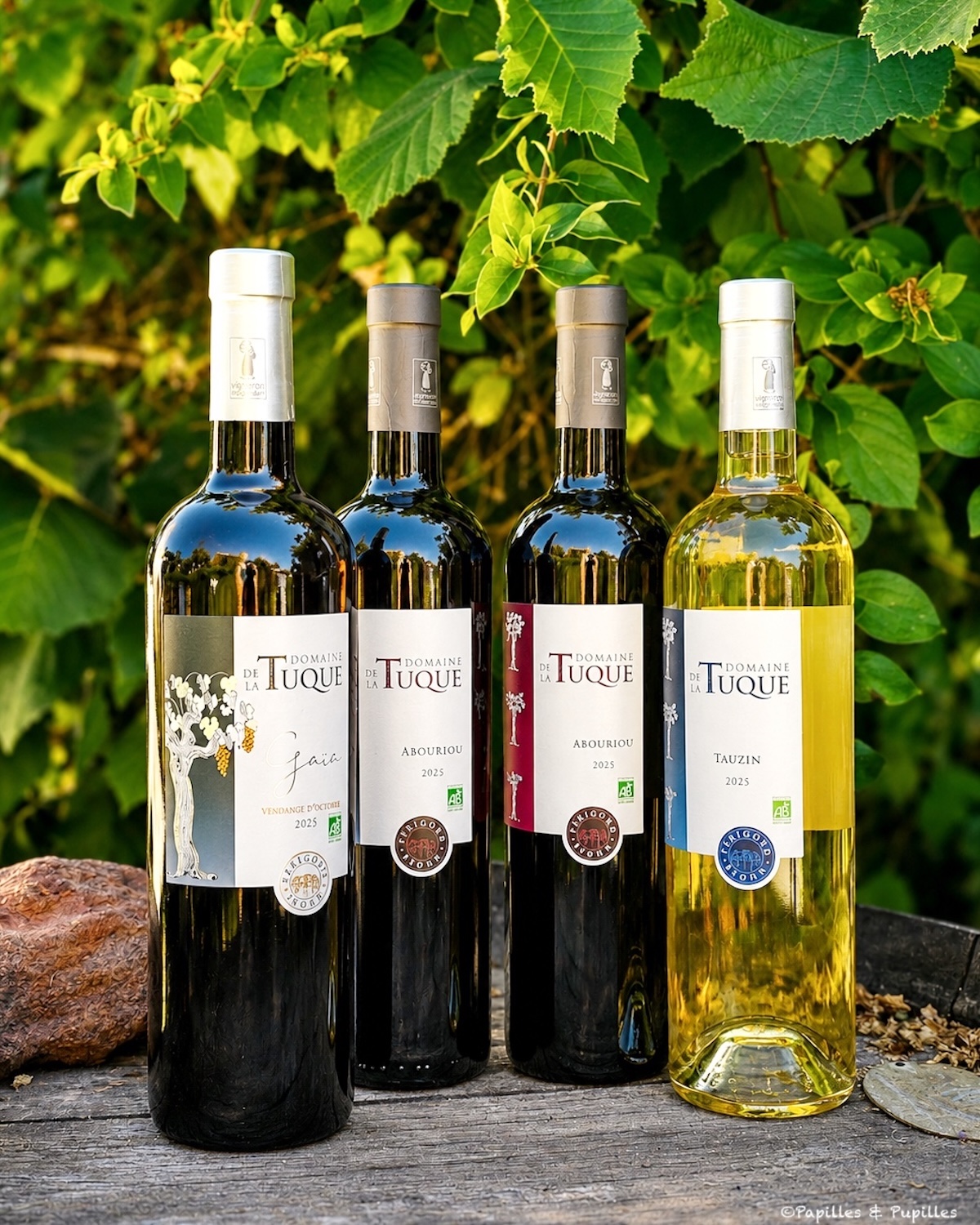 Bouteilles de vin bio du Domaine de la Tuque