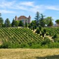Château de Chambert entouré de vignes à Floressas dans le Lot