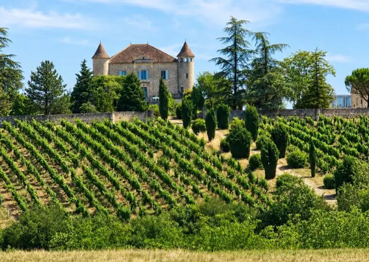 Château de Chambert entouré de vignes à Floressas dans le Lot
