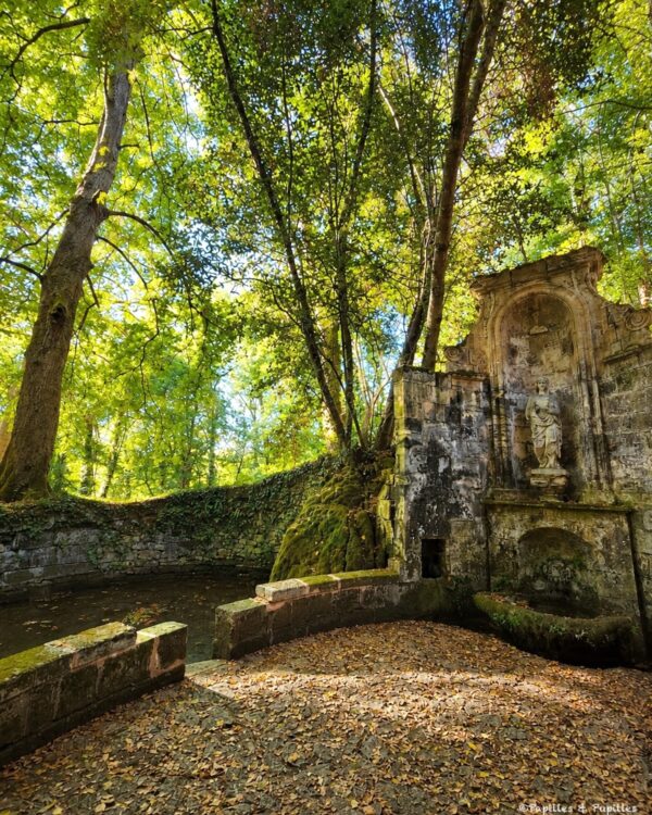 Bain des Dames du Château de La Rivière, entouré d’arbres et de pierres moussues