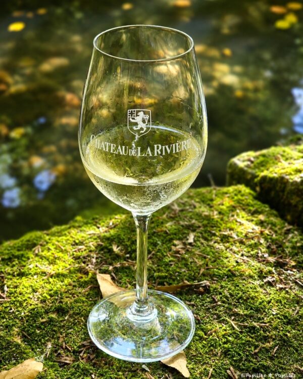 Verre de crémant Château de La Rivière posé sur la mousse près du Bain des Dames