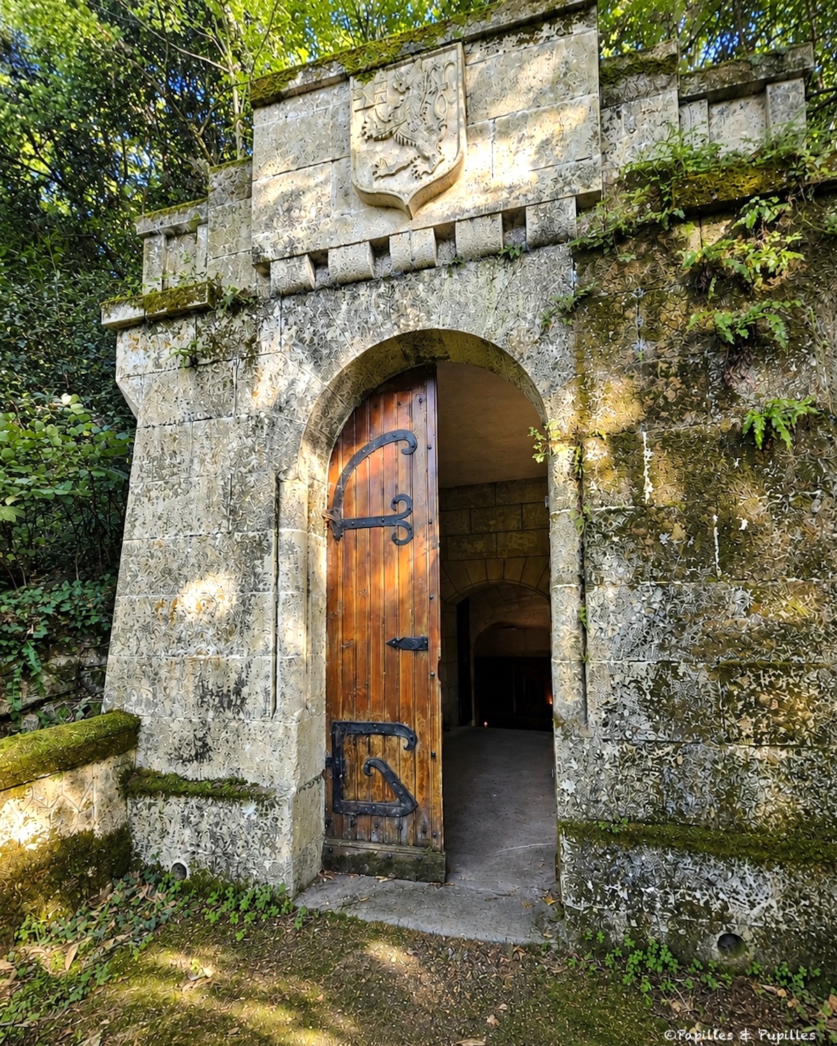 Porte d’entrée des caves du Château de La Rivière, avec façade en pierre sculptée