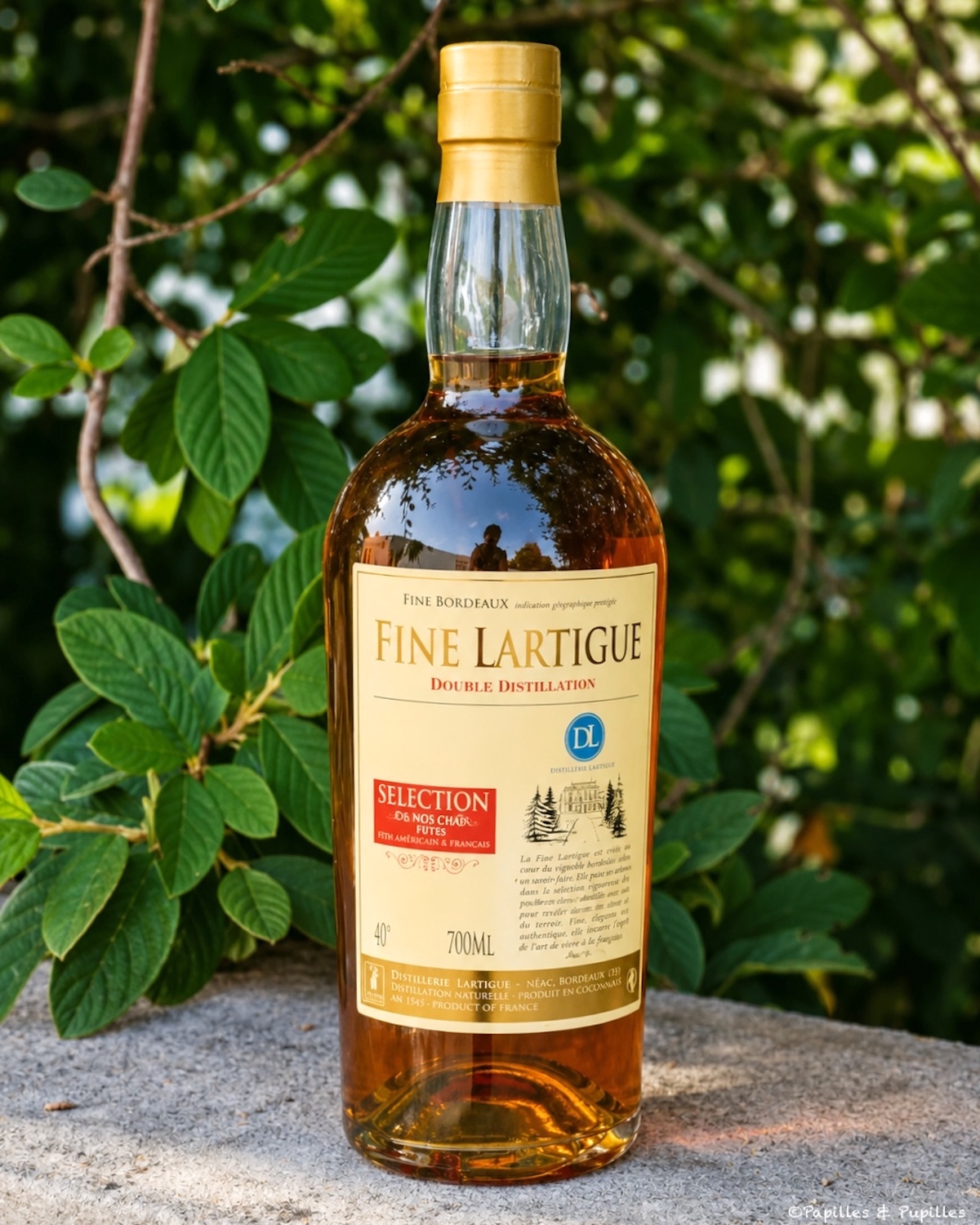 Bouteille de Fine Bordeaux Lartigue