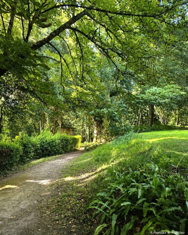 Chemin ombragé dans le parc du Château de La Rivière à Fronsac