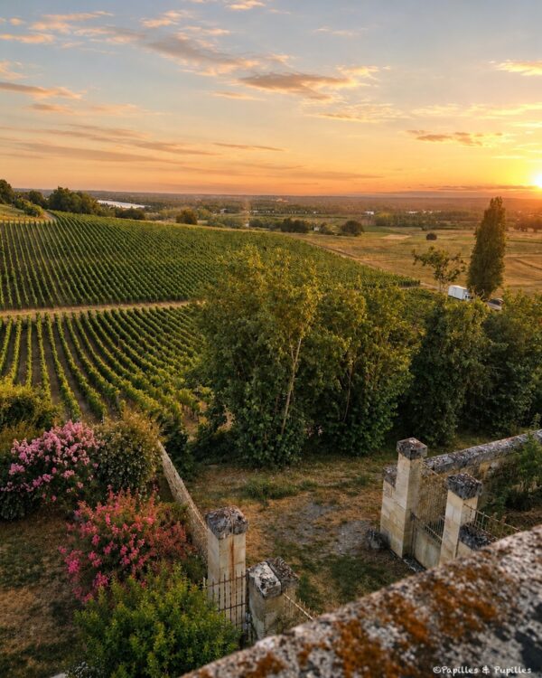 Vignoble de Fronsac au coucher du soleil depuis le Château de La Rivière