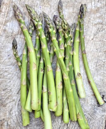 Asperges vertes