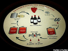 Image Papilles et Pupilles - Planète Bordeaux