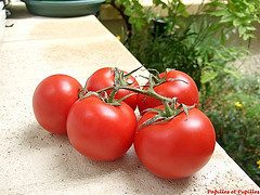tomates grappes