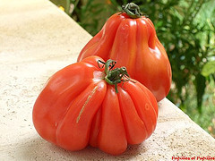 Tomates coeur de boeuf