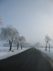 Tchéquie sous la neige