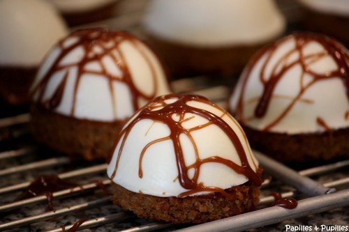 Mousse au chocolat blanc, insert au praliné