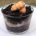 risotto noir aux queues de langoustine et au fenouil