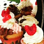 cupcake_folies